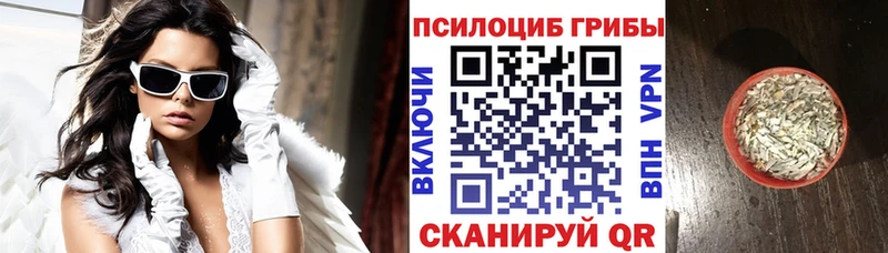 мориарти наркотические препараты  Нарьян-Мар  Галлюциногенные грибы мицелий  ОМГ ОМГ ТОР 